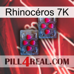 Rhinocéros 7K 14